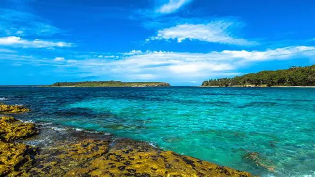 Jervis Bay with Dolphin Cruise | Day Tour from Sydney