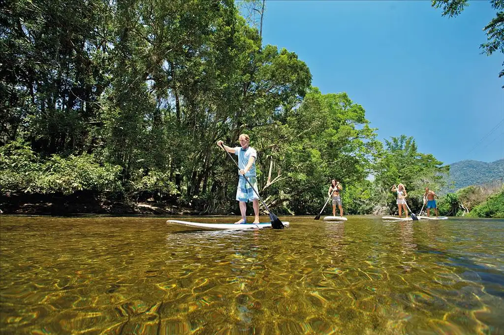 Magical Daintree Rainforest SUP Tour