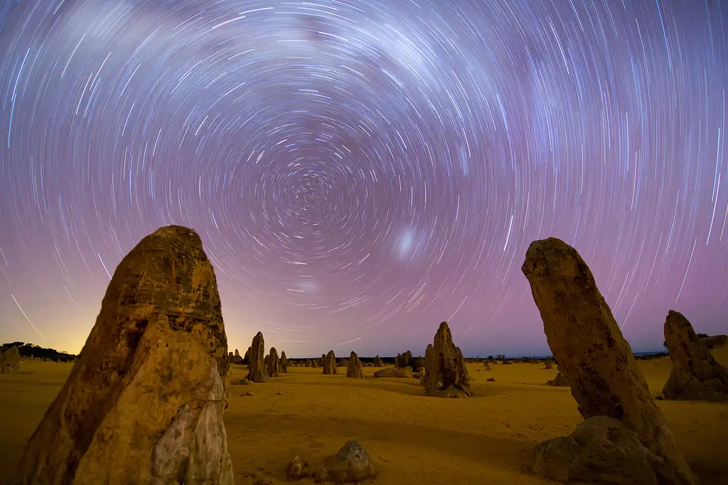 Pinnacles Sunset, Stargazing & Wildlife Day Tour With Dinner