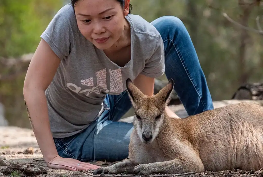 Top Sydney Tours | Nature and Wildlife Big Day Out