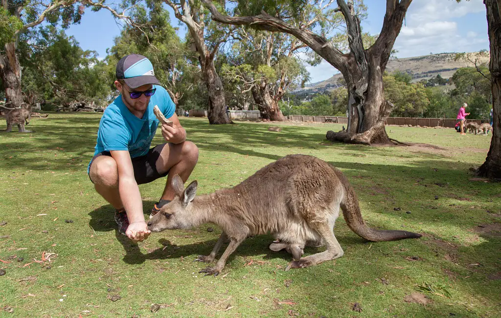 Tasmania East Coast 2 Day 1 Night Tour - Start & End Hobart