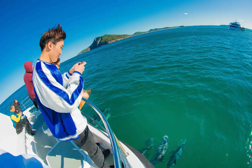 Port Stephens Dolphin Discovery Cruise