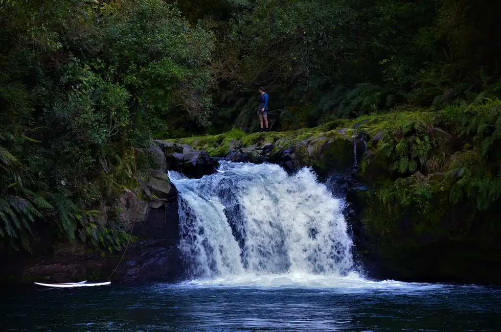 Rotorua Stand-Up Paddle (SUP) Tour