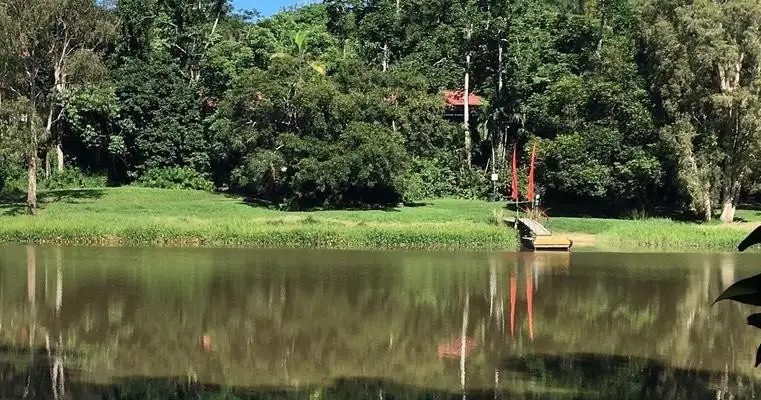 Kuranda Riverboat Tour