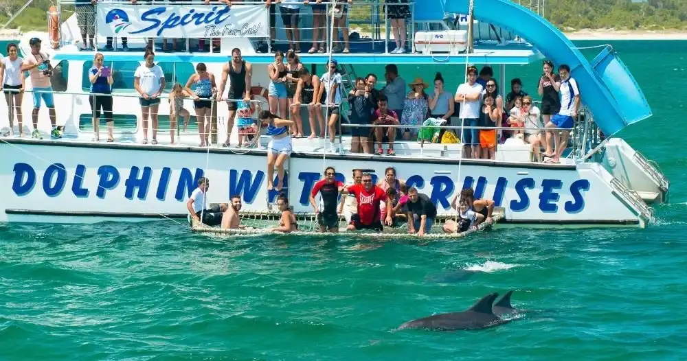 Splash and Slide Dolphin Cruise - Port Stephens