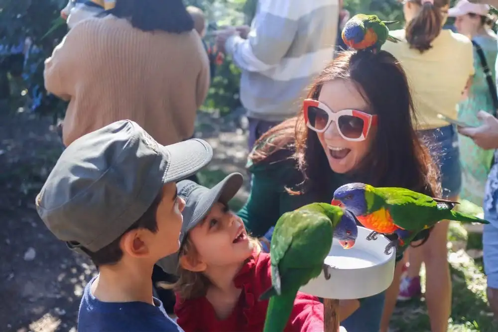 Lone Pine Koala Sanctuary Entry with Brisbane River Cruise