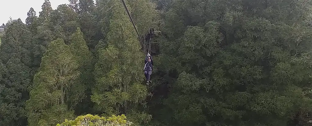 Waitomo Zipline Tour