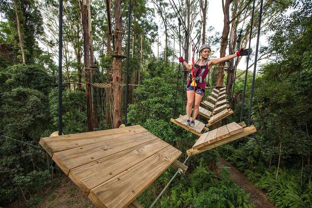 Treetop Challenge High Ropes Course Sunshine Coast