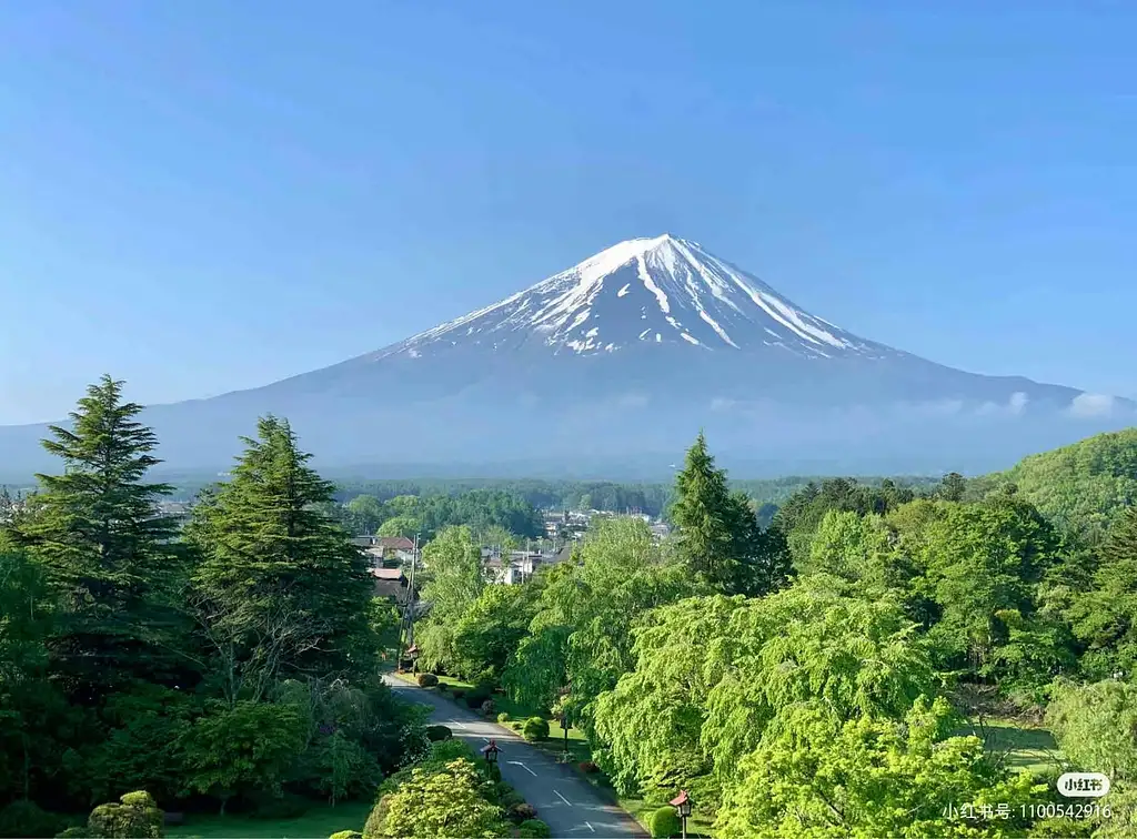 Instagram-worthy Mt Fuji Full-Day Tour | From Tokyo