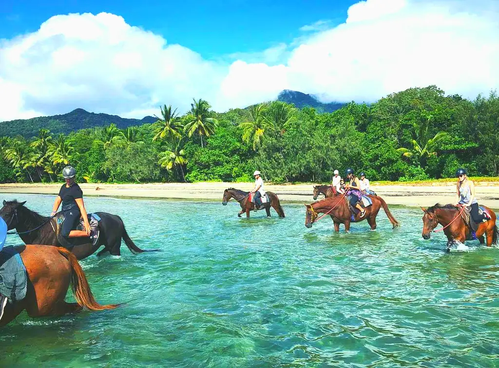 Cape Tribulation Beach Horse Ride