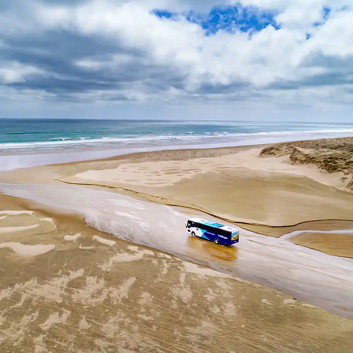 Cape Reinga and Ninety Mile Beach Tour