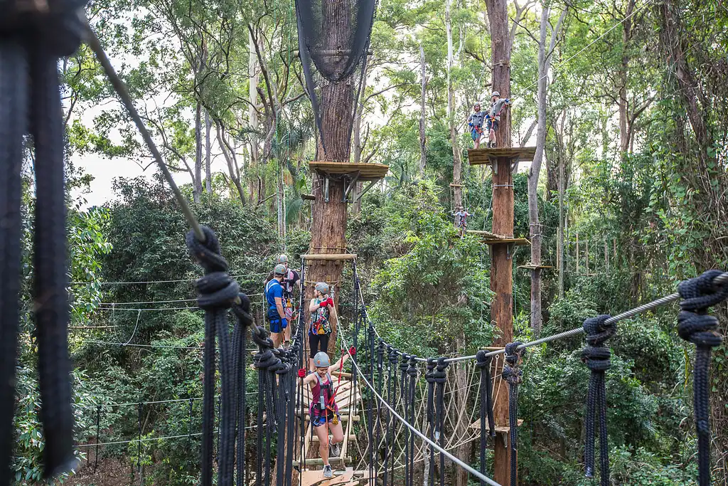 Treetop Challenge Sunshine Coast (Big Pineapple)