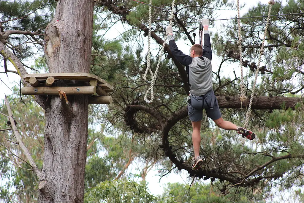 Adrenalin Forest Aerial Obstacle Course