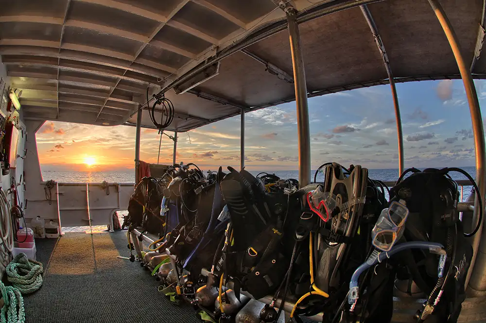 Great Barrier Reef Overnight Trip: 3 Days 2 Nights