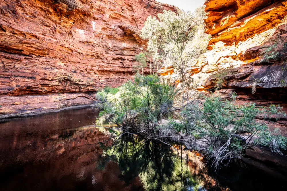 5 Day Outback Camping Adventure | Yulara to Alice Springs