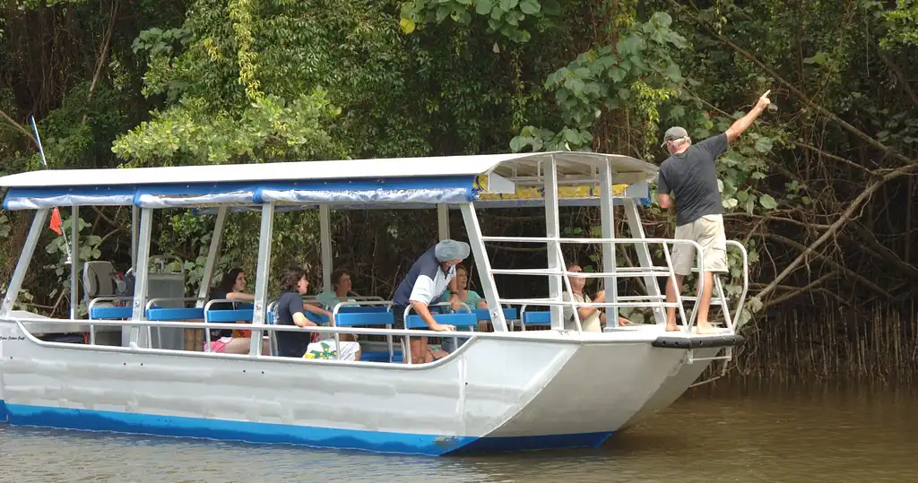 Bruce Belcher's 1 Hour Daintree River Cruise