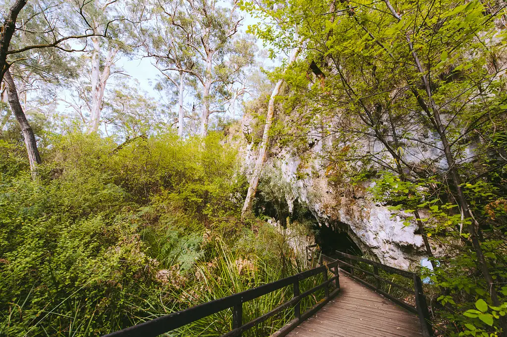 Mammoth Cave Self-Guided Audio Tour