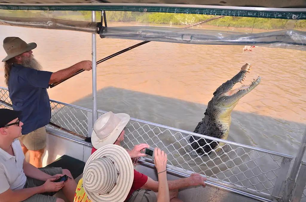 Litchfield Park Jumping Crocodile Cruise & Sunset Experience