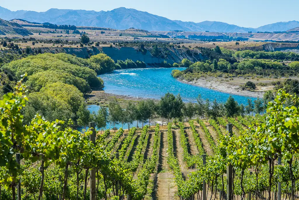 Boutique Wanaka Wine Tour