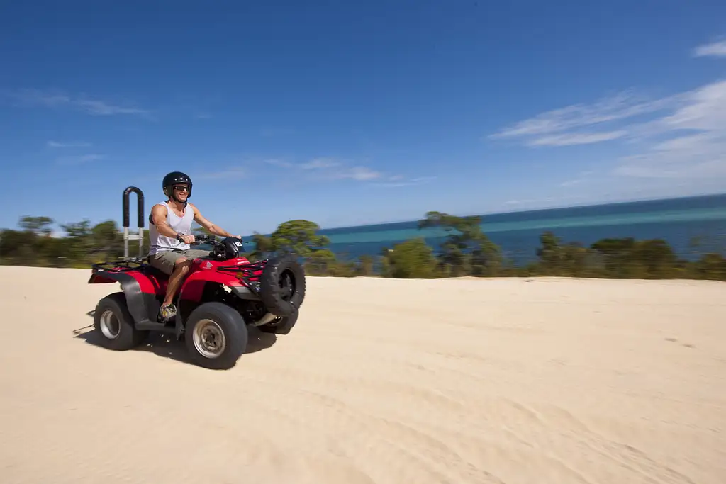 ATV Quad Bike Day Cruise with Option for Wild Dolphin Feeding Upgrade