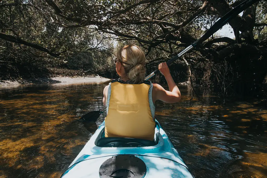 Adelaide Dolphin Sanctuary Guided Eco Kayak Tour