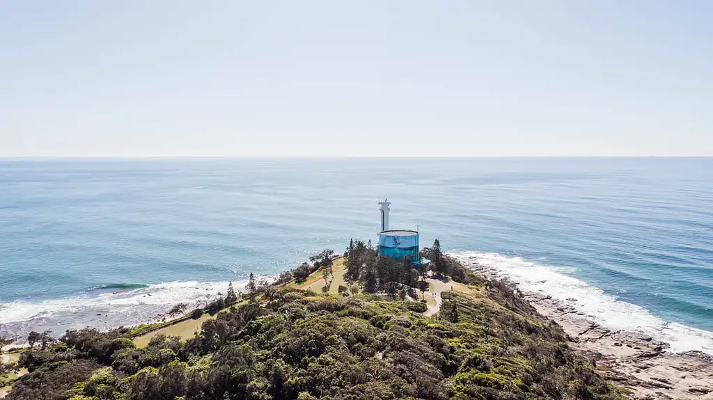 Mooloolaba Whale Watching 2 Hour Experience - Small Group