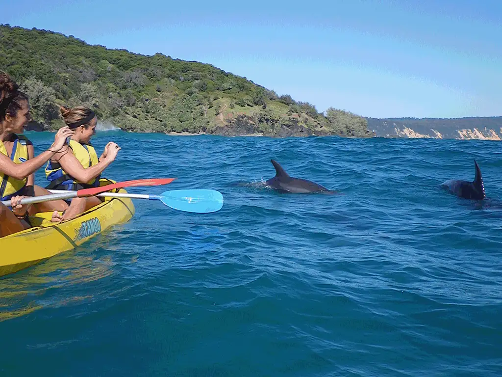 Noosa Dolphin View Sea Kayak & Beach 4X4 Adventure - Day Tour