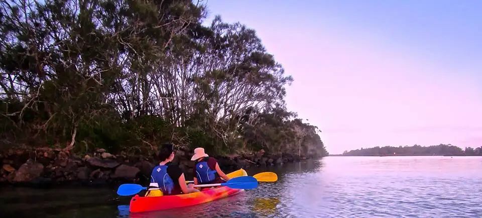 Brunswick River Nature Kayak Tour