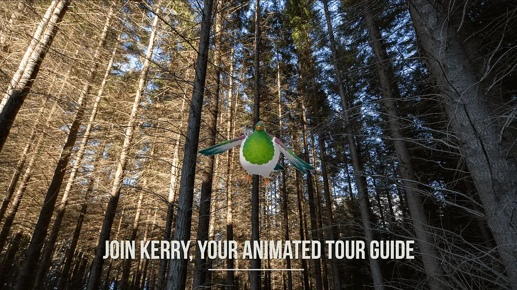 Kereru Interactive Zipline Tour