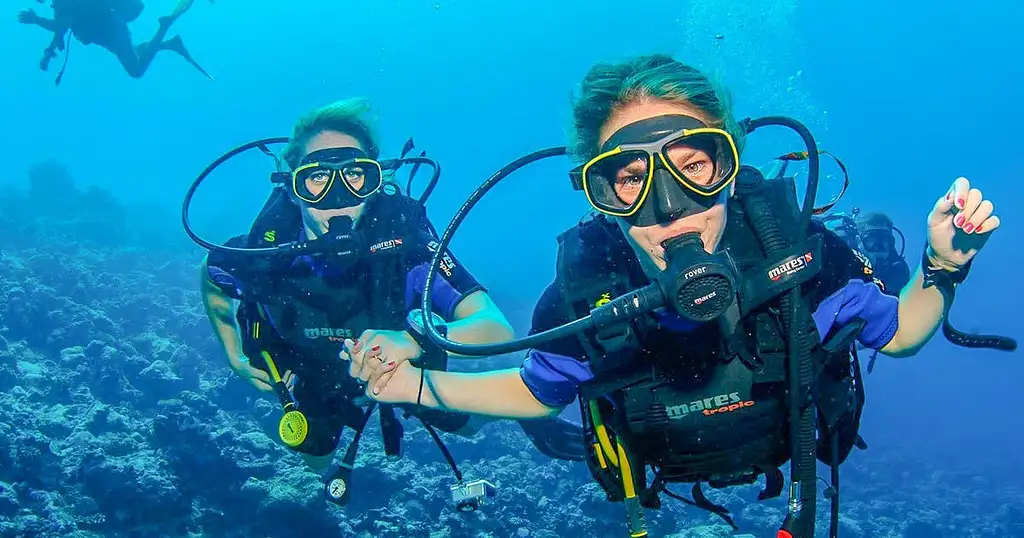 Scuba Dive Trip With Transfer From Dubai