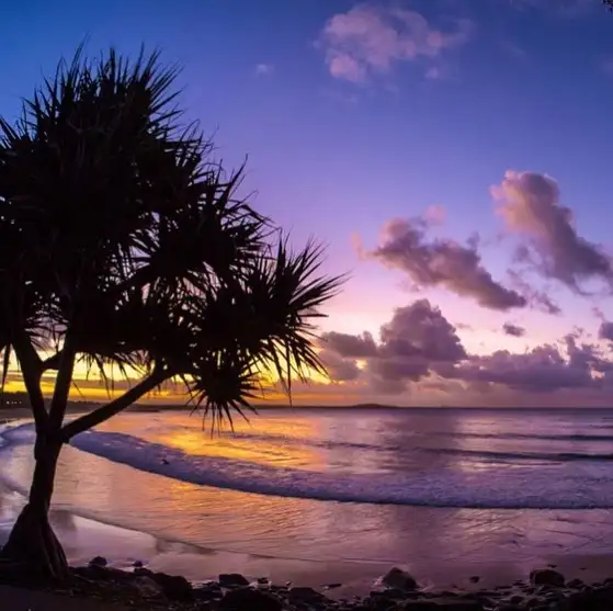 Noosa Heads Surfing Lesson