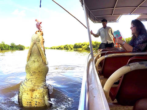 Adelaide River Jumping Crocodile Adventure Cruise with Lunch | Backpacker  Deals