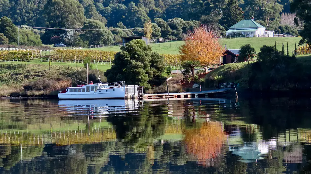 Morning Tea Cruise on the Huon River