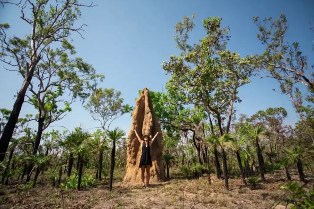 3 Day Kakadu to Litchfield 4WD Safari Tent Camping - Departing Darwin -  TNT24OCTSALE