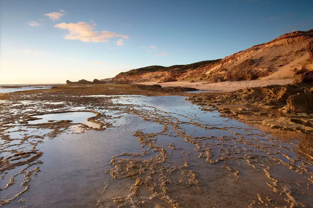 Mornington Peninsula and Penguin Parade - Day Tour