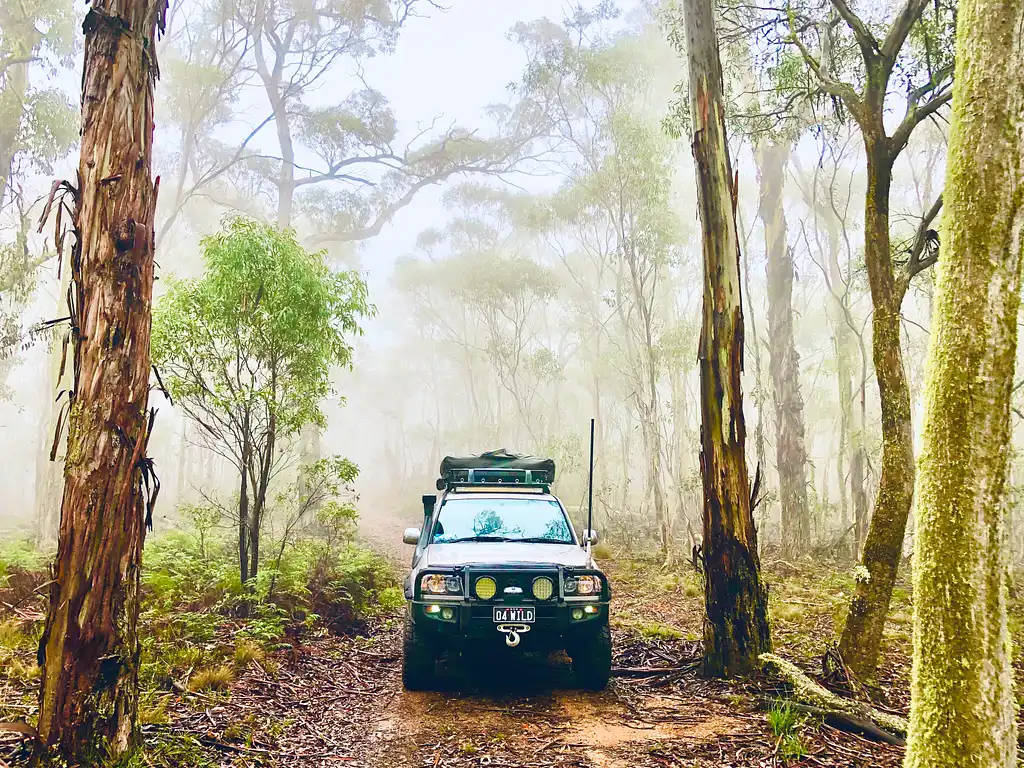 Blue Mountains Off The Beaten Track 4WD Day Adventure