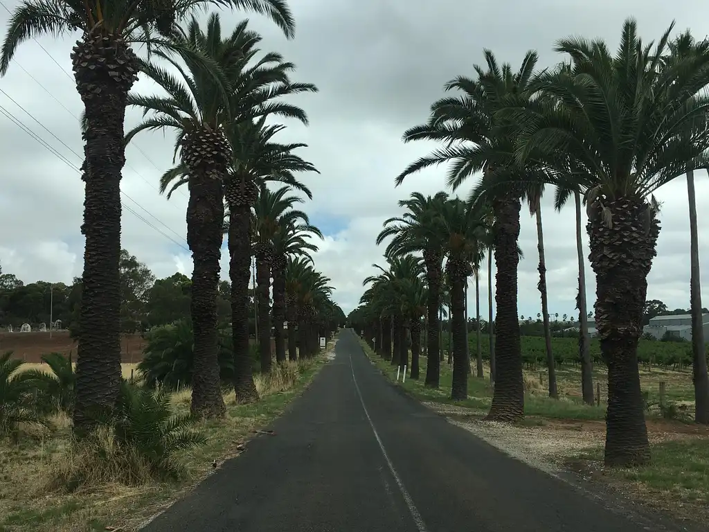 Barossa Valley & Hahndorf Food & Wine Tour