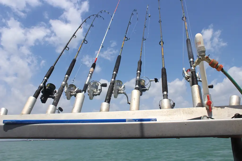 Half Day Darwin Harbour Fishing Charter