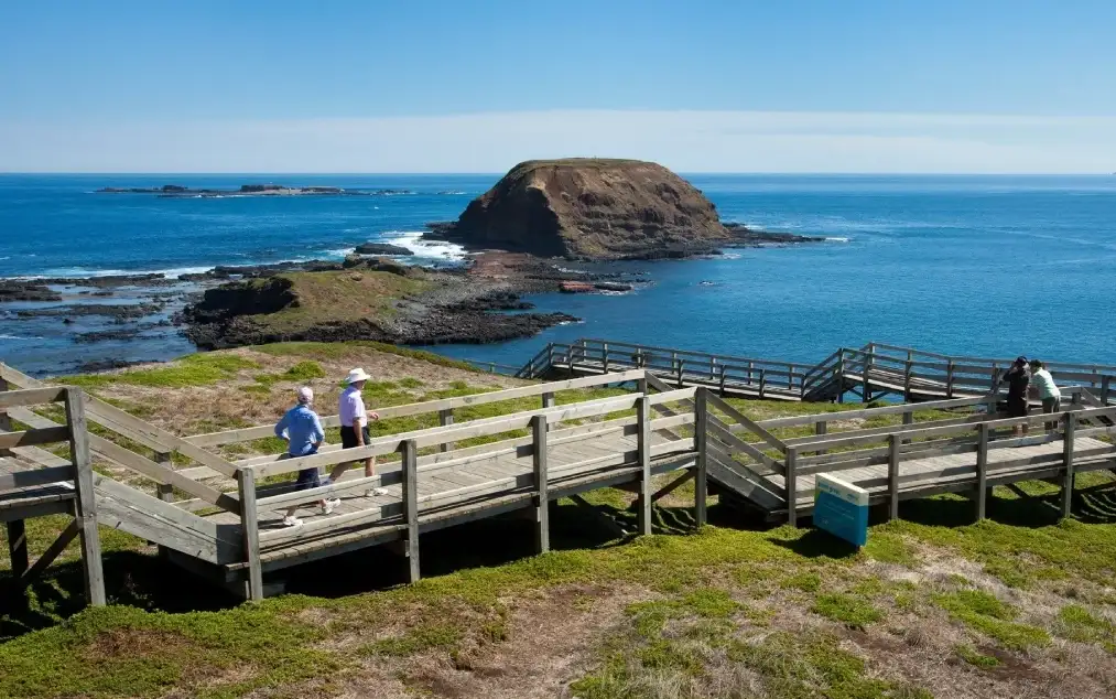 Phillip Island Penguin Parade Ultimate Eco Tour