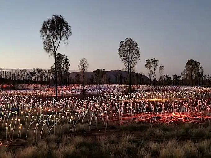 Uluru Sunrise & Field of Light (FOL)