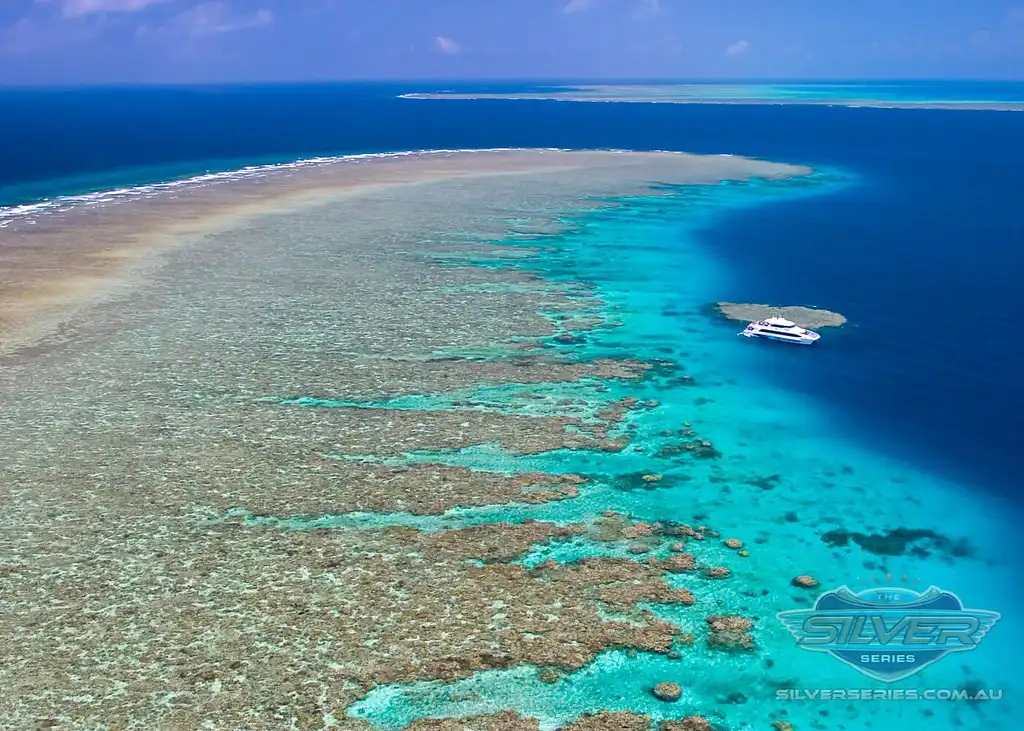 Silversonic Great Barrier Reef Snorkel Adventures from Port Douglas