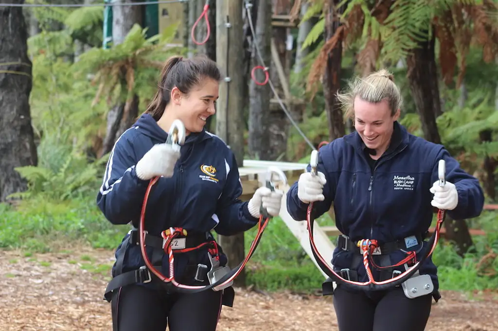 Adrenalin Forest Aerial Obstacle Course