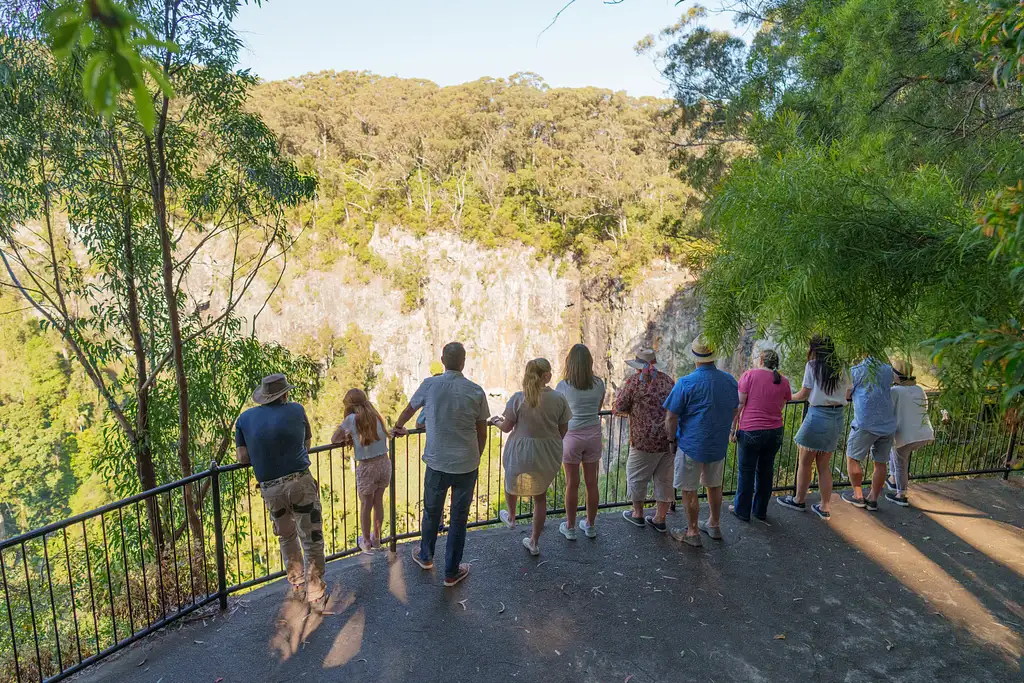 Natural Bridge & Springbrook Waterfalls Tour