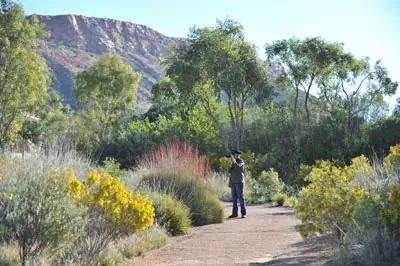 Alice Springs Desert Park - Day Entry