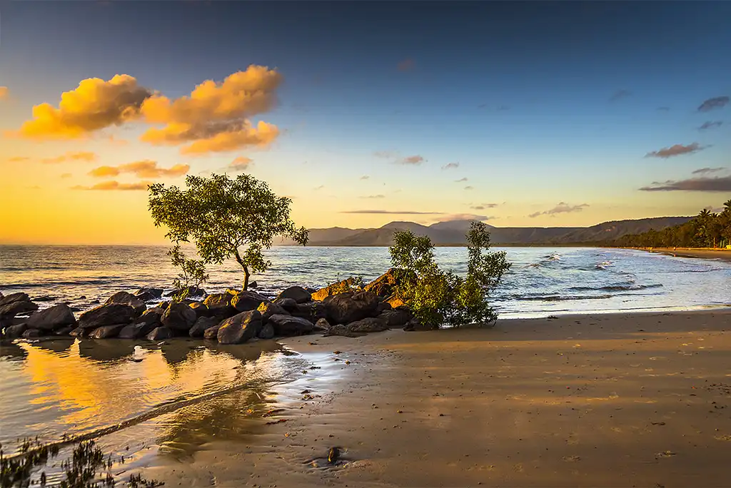 5 Day - Best of Cairns, Great Barrier Reef & Daintree | Intrepid Tour