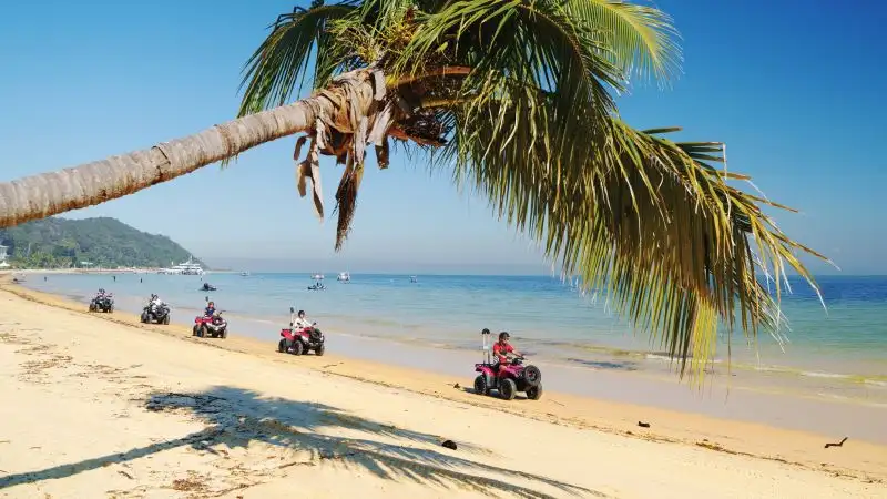 ATV Quad Bike Day Cruise with Option for Wild Dolphin Feeding Upgrade