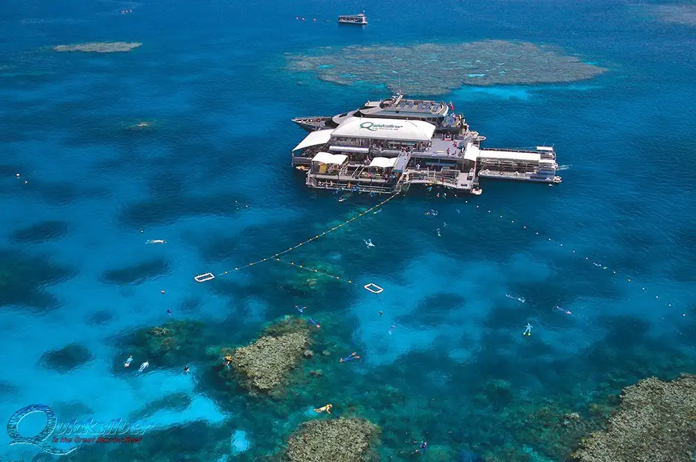 Quicksilver Outer Great Barrier Reef Cruise from Port Douglas