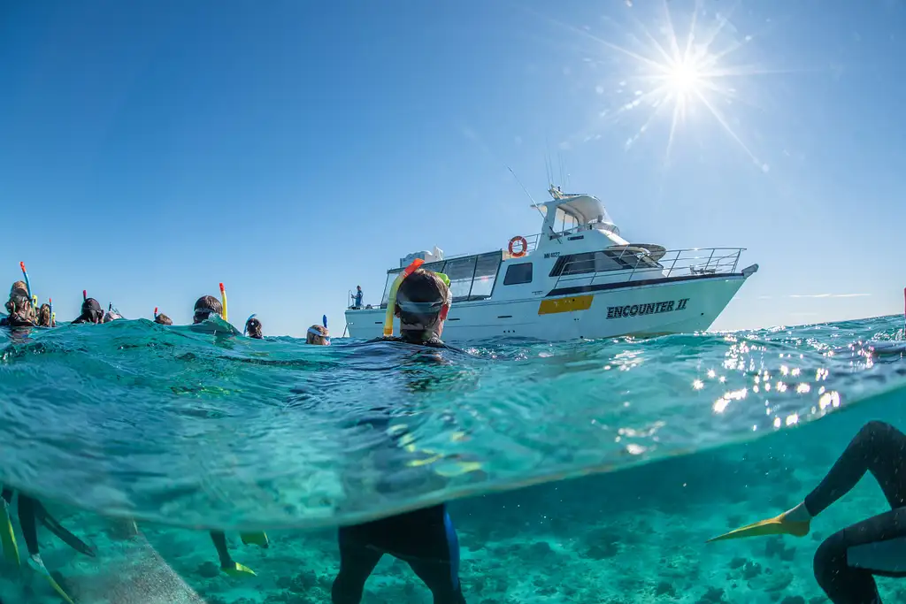 Ningaloo Reef Snorkelling and Wildlife Adventure Tour