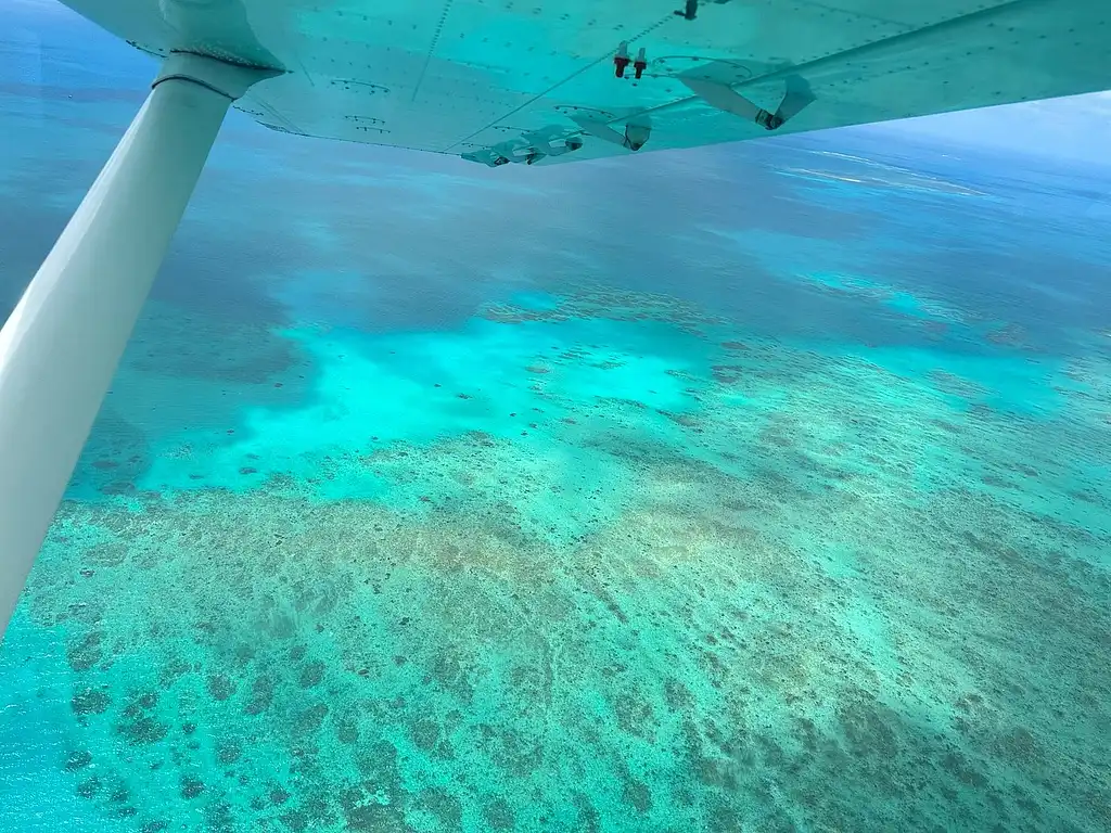 Outer Edges of The Great Barrier Reef Scenic Flight