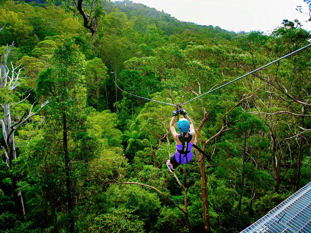 Canyon Flyer Zipline Tour Mount Tamborine